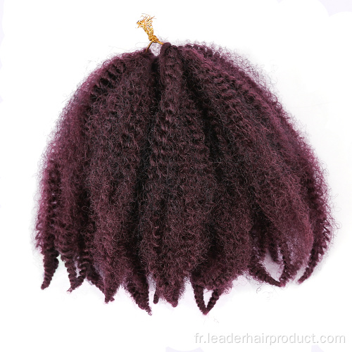 Marley Afro Twist Tressage Extension De Cheveux Crochet Cheveux